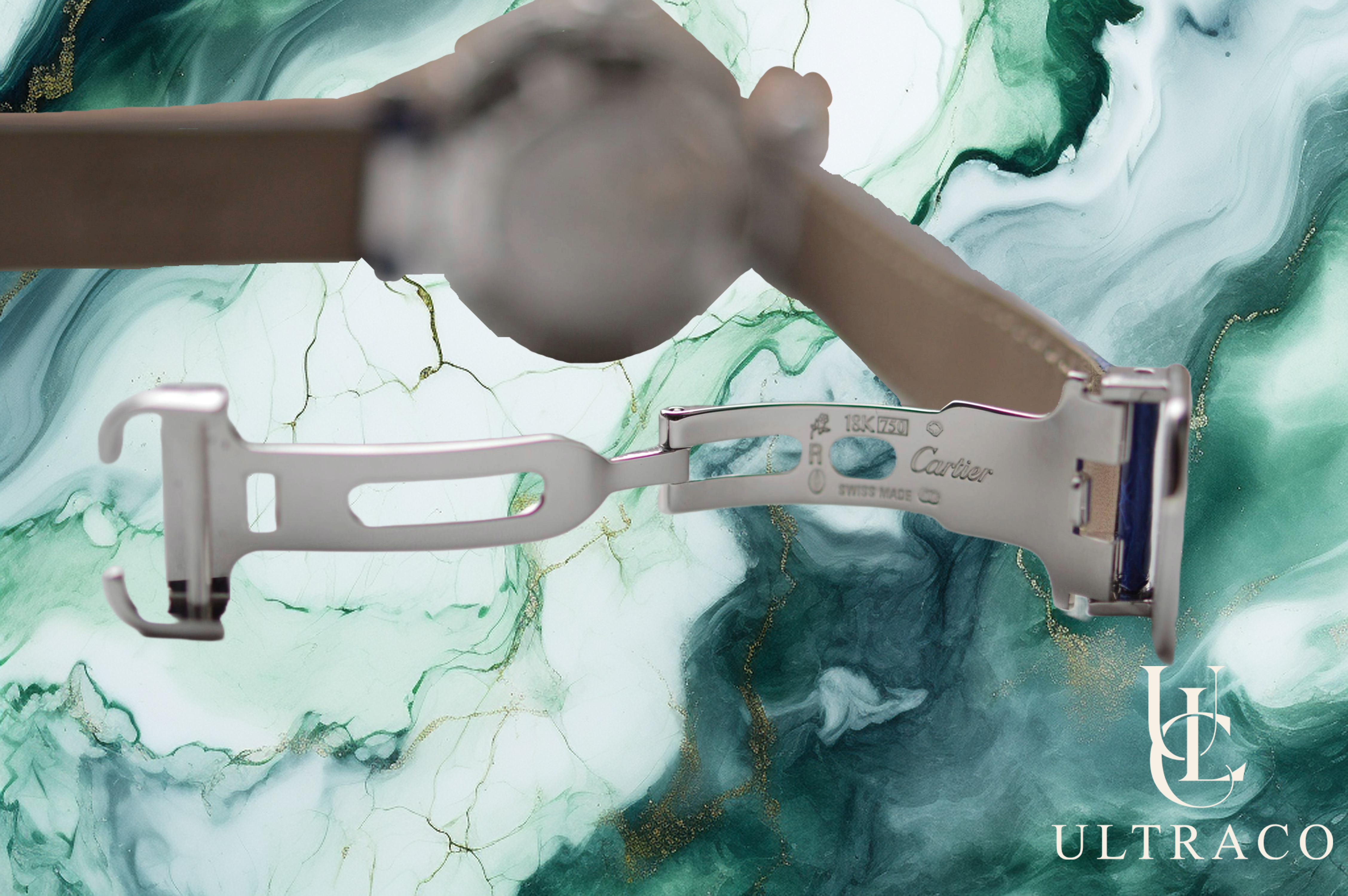 Cartier Pasha Collection 18K White Gold Open Backcase Cadran Pavé Auto